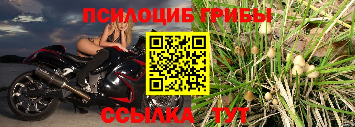 Псилоцибиновые грибы Psilocybe  Вход с VPN  Галлюциногенные грибы Cubensis  Москва 